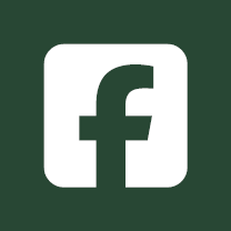 FB icon