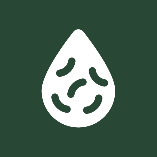 lggra-3186-legionella